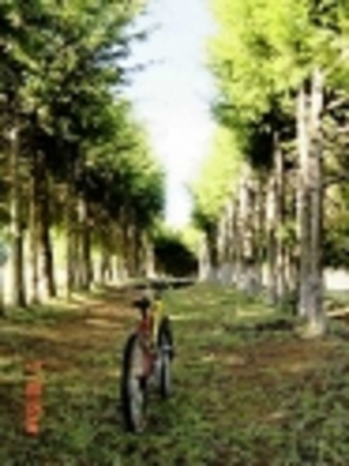 Mountainbiken 